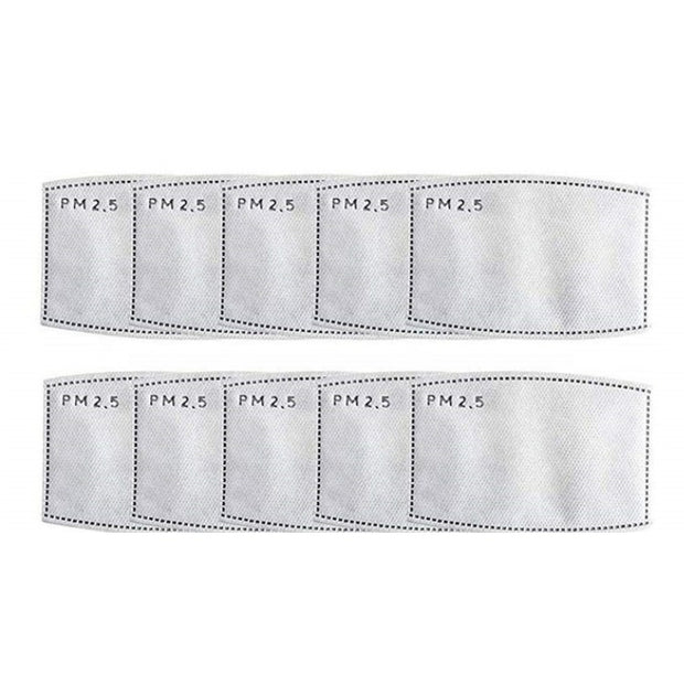 PM2.5 replacement filters
